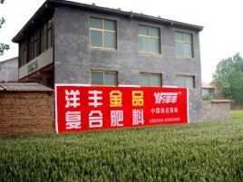 龙南如何让墙体广告展现最大化效果