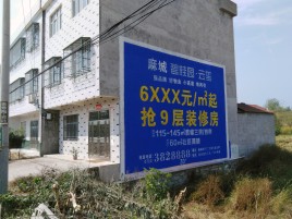 龙南墙体广告质量分析