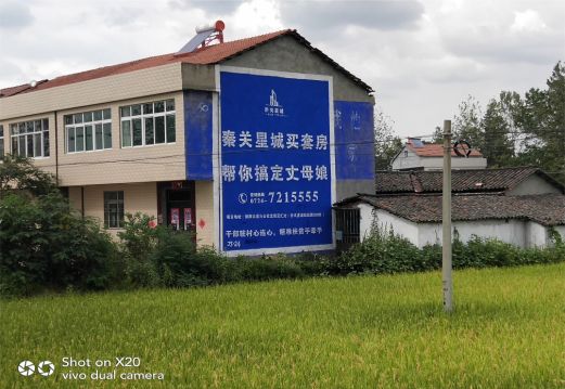 龙南决定墙体广告价格的因素有哪些?
